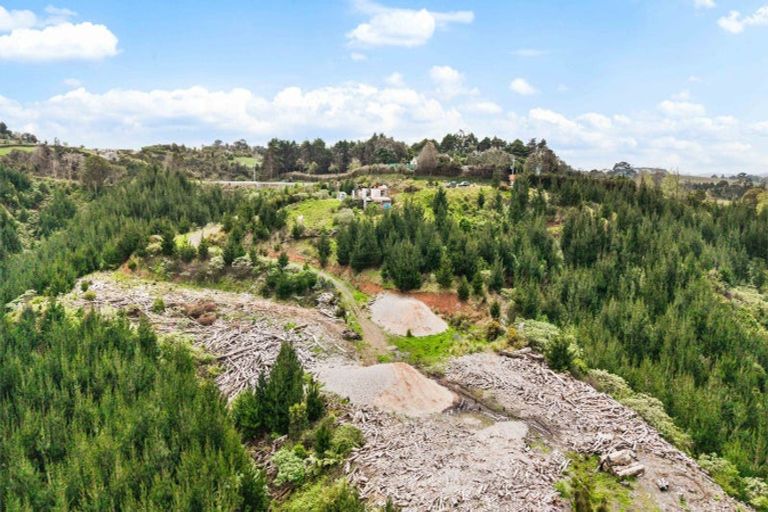 Photo of property in 80 Cameron Town Road, Pukekohe, 2678