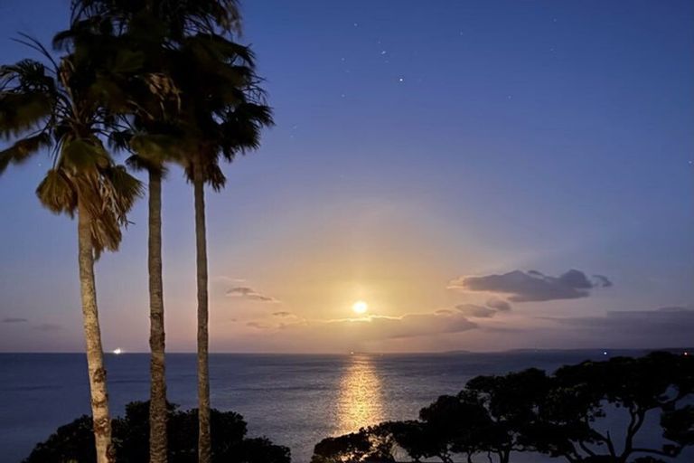 Photo of property in 1/31 Sanders Avenue, Takapuna, Auckland, 0622