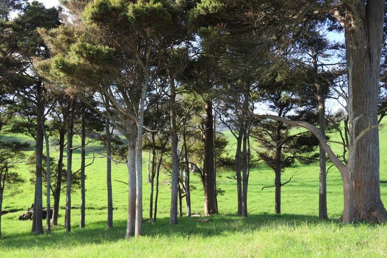 Photo of property in 182 Morrison Road, Arapohue, Dargaville, 0374