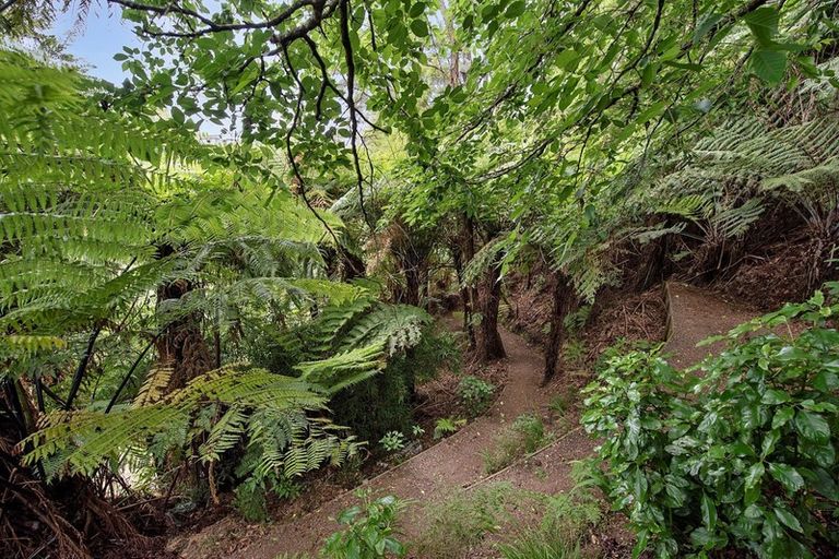 Photo of property in 255 Bankwood Road, Chartwell, Hamilton, 3210