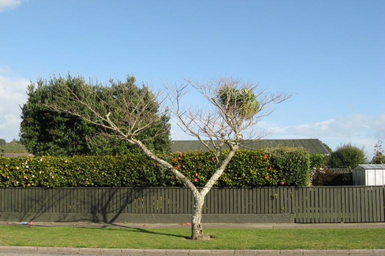 Photo of property in 21 Beach Street, Whakatane, 3120