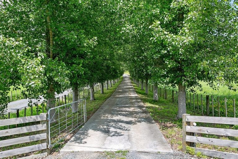 Photo of property in 30 Ranby Road, Ohaupo, 3883