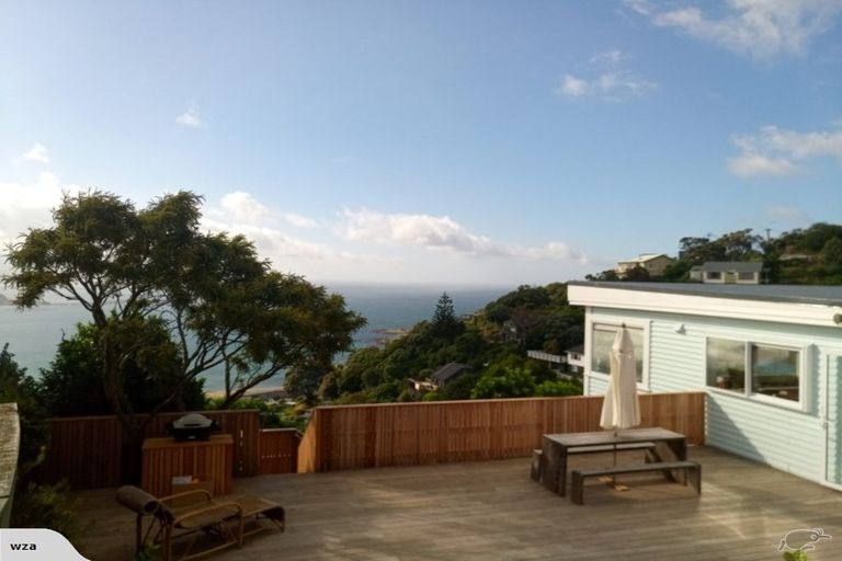 Photo of property in 49 Hornsey Road, Melrose, Wellington, 6023