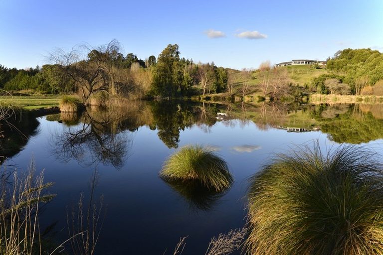 Photo of property in 135 Ballantyne Road, Poraiti, Napier, 4182