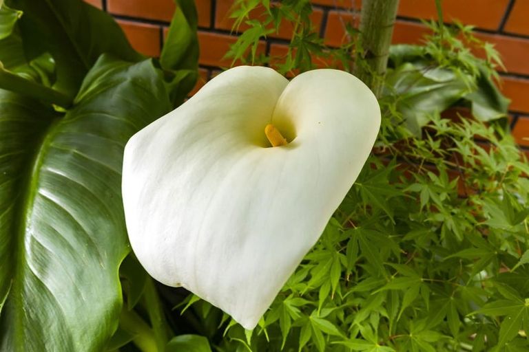 Photo of property in 5b Regency Crescent, Redwood, Christchurch, 8051