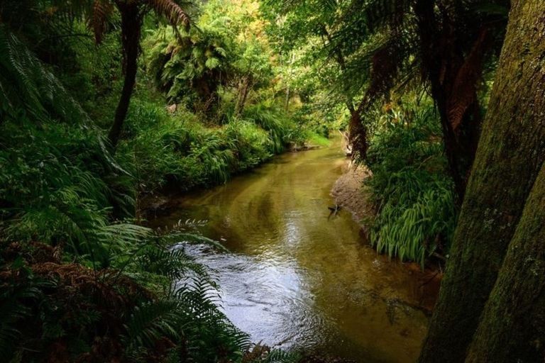 Photo of property in 566 Paradise Valley Road, Ngongotaha Valley, Rotorua, 3072