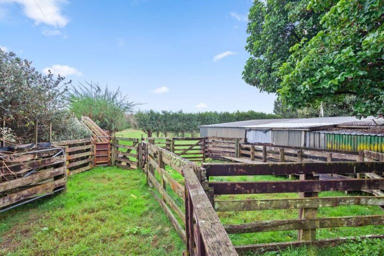 Photo of property in 711 Tablelands Road, Tirohanga, Opotiki, 3197