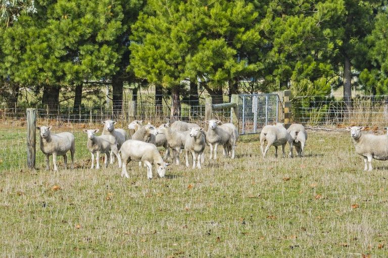 Photo of property in 1580 Clintons Road, Darfield, 7571