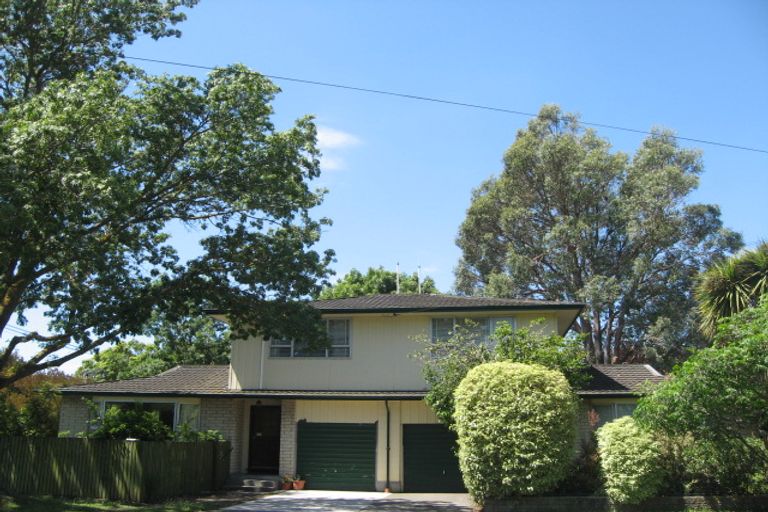 Photo of property in 1 Hillsborough Terrace, Hillsborough, Christchurch, 8022