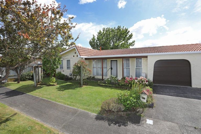Photo of property in 20a Shelton Place, Feilding, 4702