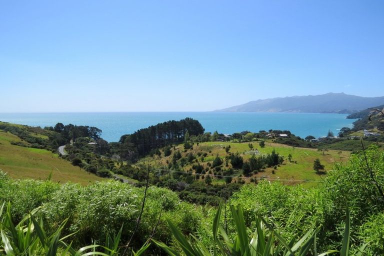 Photo of property in 1594 Colville Road, Amodeo Bay, Coromandel, 3584