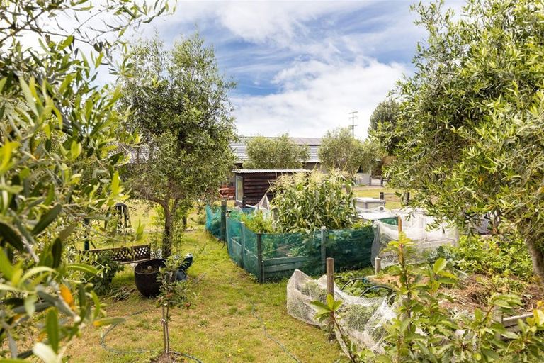 Photo of property in 84 Rarangi Road, Rarangi, Blenheim, 7273