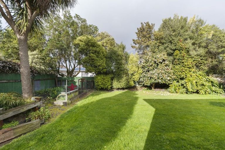 Photo of property in 456 Ruahine Street, Terrace End, Palmerston North, 4410