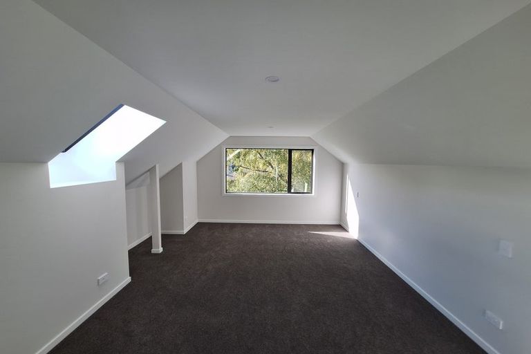 Photo of property in 15 Ipswich Street, Bradford, Dunedin, 9011