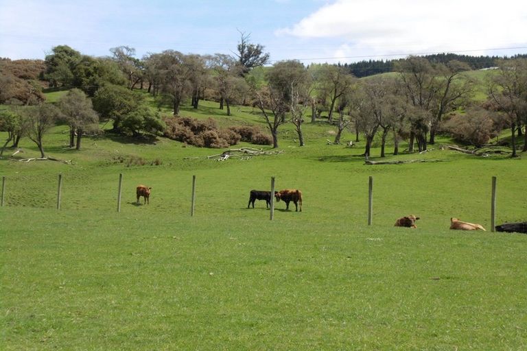 Photo of property in 37 Quarry Road, Green Island, Dunedin, 9018