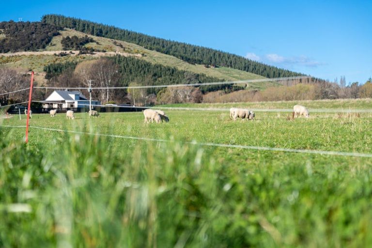 Photo of property in 33 Franks Place, Outram, 9019