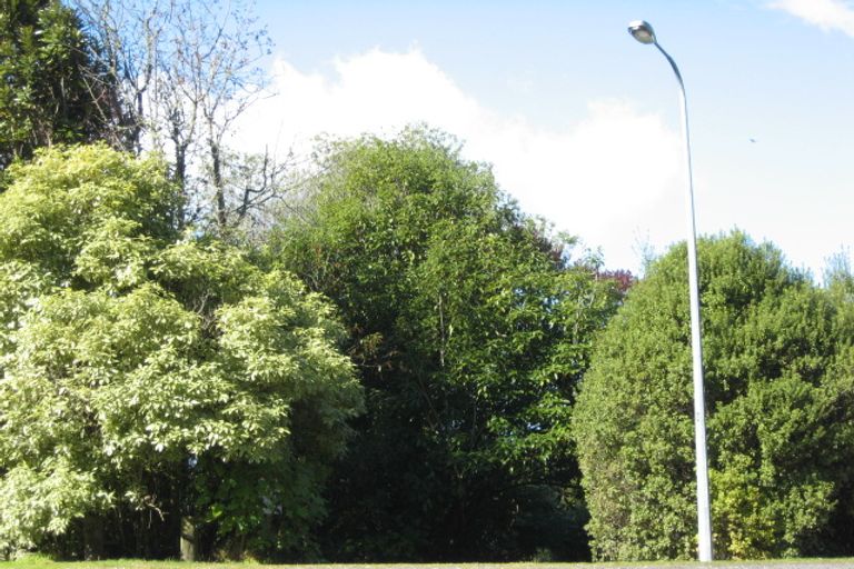 Photo of property in 75 Hauraki Terrace, Pukawa Bay, Turangi, 3381