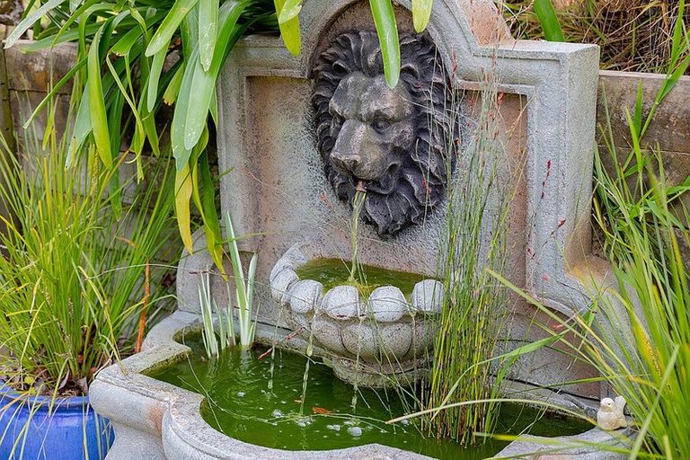 Photo of property in 199a Youngson Road, Whakamarama, Tauranga, 3179