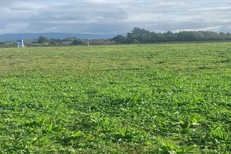 Photo of property in 12 Kahawai Place, Omokoroa, 3114