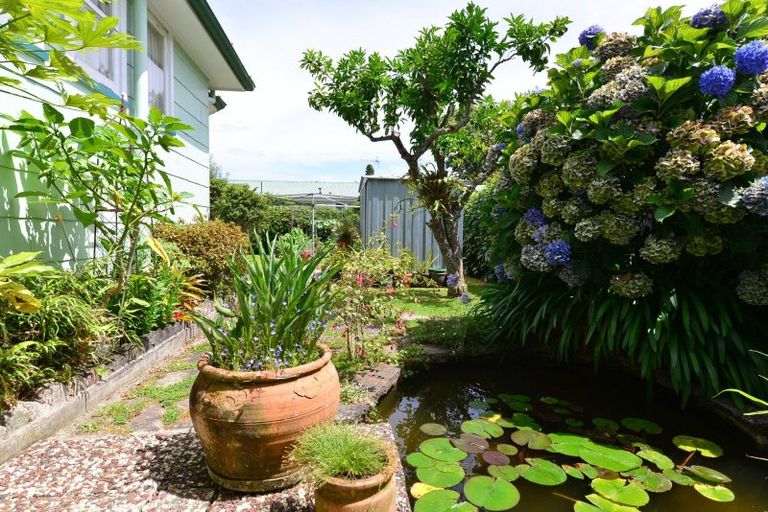 Photo of property in 11 Aberfoyle Street, Dinsdale, Hamilton, 3204