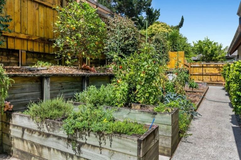 Photo of property in 77 Stableford Drive, Pyes Pa, Tauranga, 3112