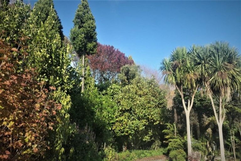 Photo of property in 33 Mokena Kohere Street, Manakau, Levin, 5573