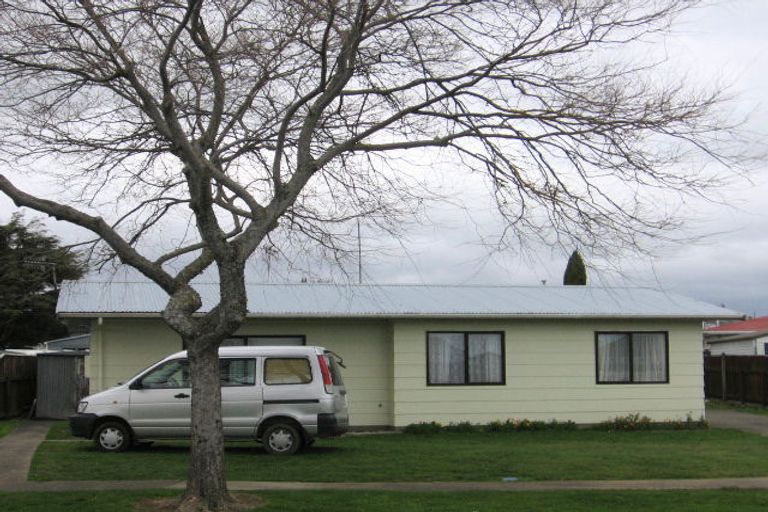 Photo of property in 13 Adkin Avenue, Levin, 5510