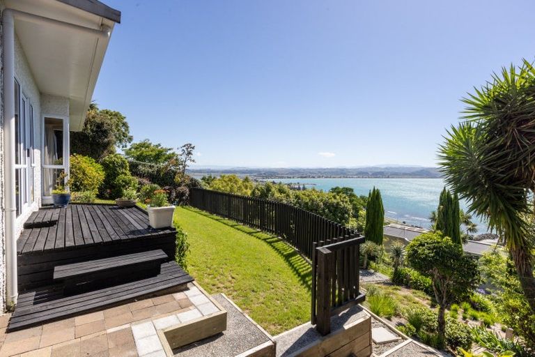 Photo of property in 157 Thompson Road, Bluff Hill, Napier, 4110