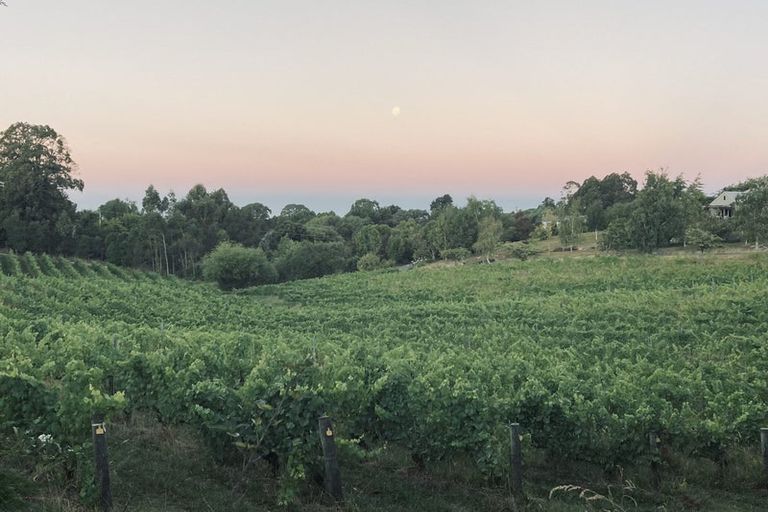 Photo of property in 93 Pomona Road, Ruby Bay, 7173