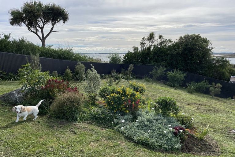 Photo of property in 3 Raymond Street, Bluff, 9814
