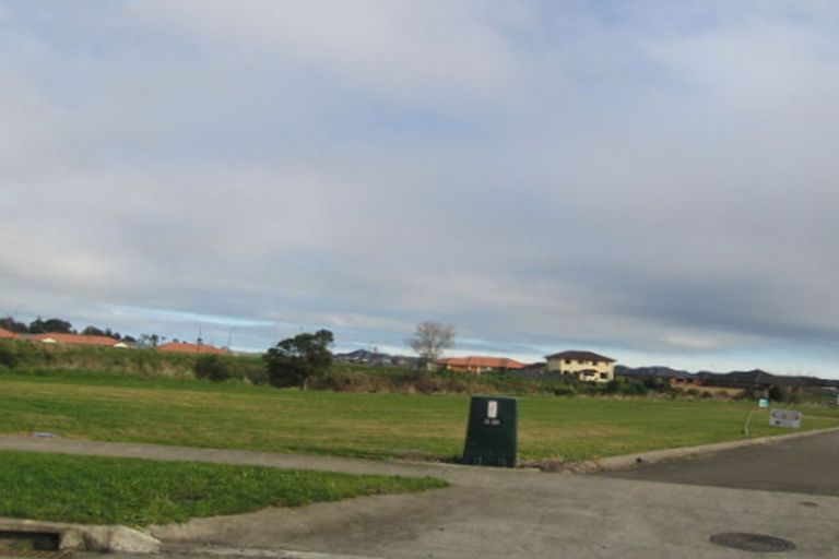 Photo of property in 31 Silkwood Place, Fitzherbert, Palmerston North, 4410