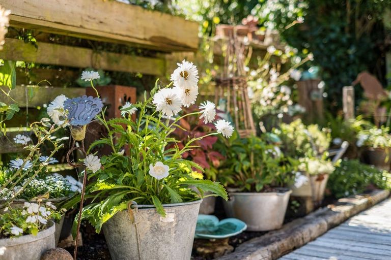 Photo of property in 6 Anchor Lane, Whitby, Porirua, 5024