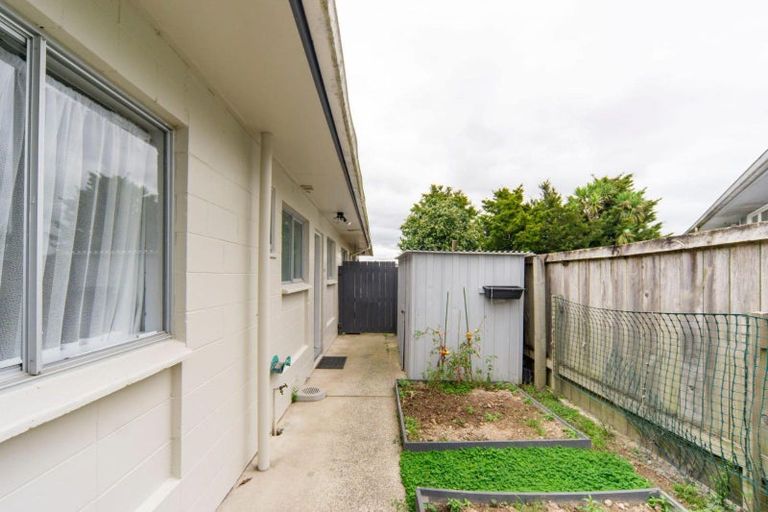 Photo of property in 23ab Ruru Crescent, Putaruru, 3411