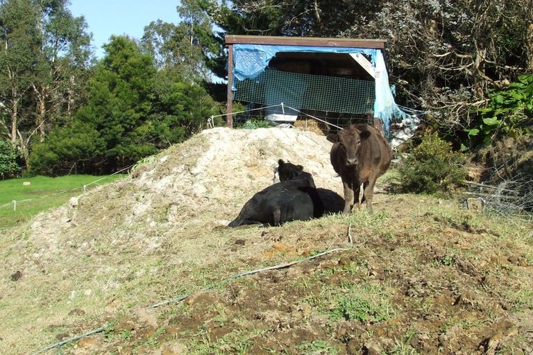 Photo of property in 7 Sheppard Street, Gate Pa, Tauranga, 3112