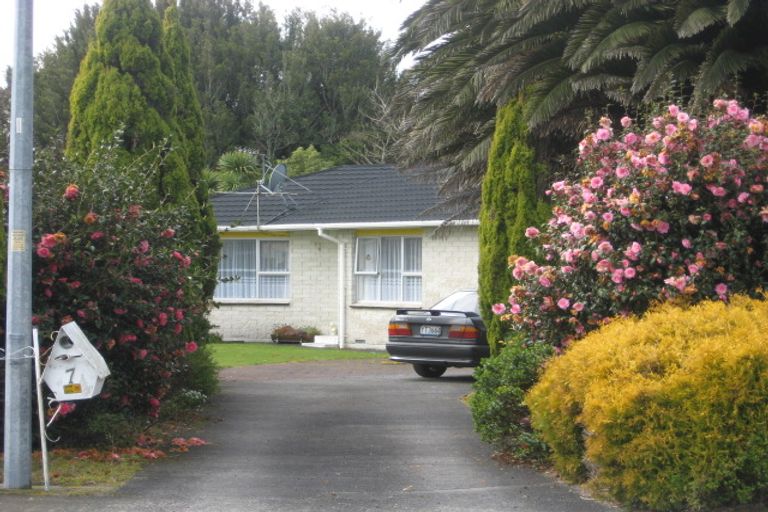 Photo of property in 7 Adrian Street, Stratford, 4332