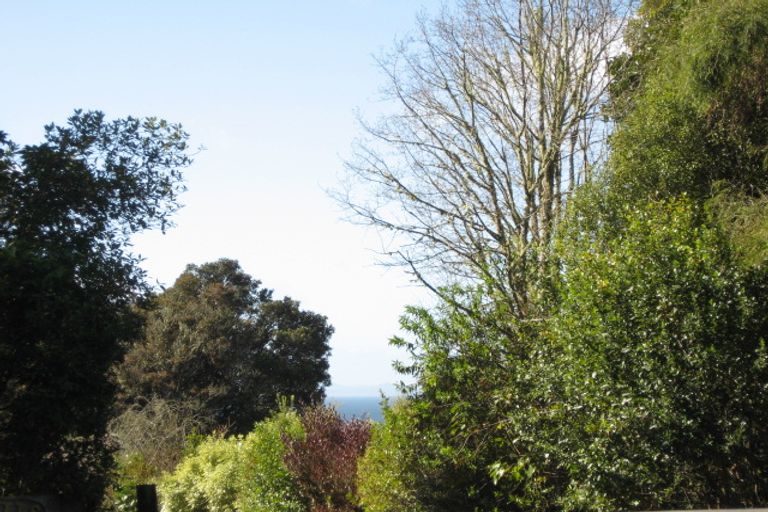 Photo of property in 81 Hauraki Terrace, Pukawa Bay, Turangi, 3381