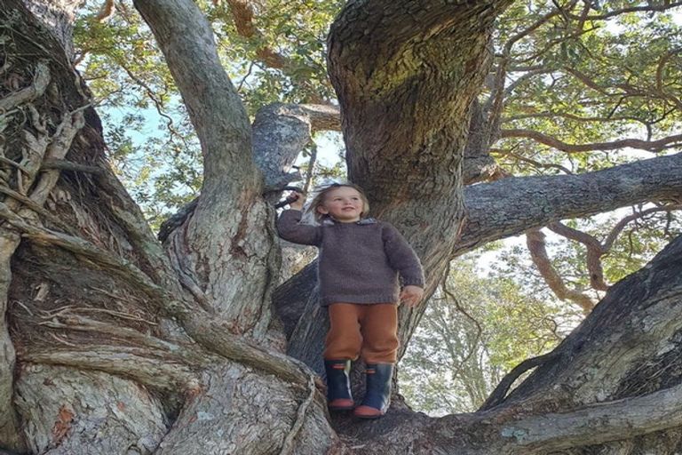 Photo of property in 38b Kaitemako Road, Welcome Bay, Tauranga, 3112