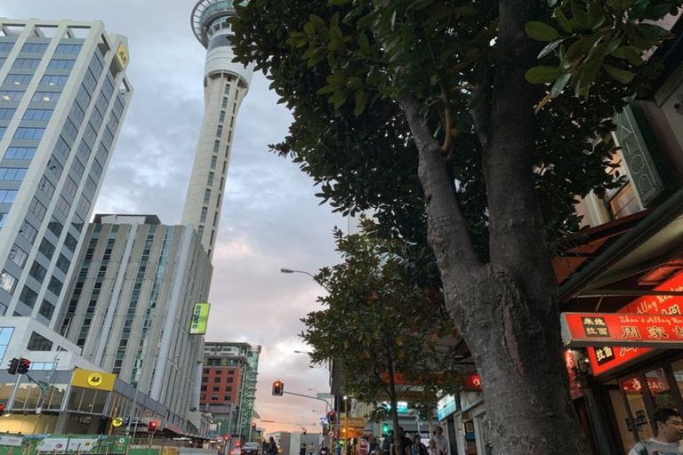 Photo of property in 43a Victoria Street, Warkworth, 0910