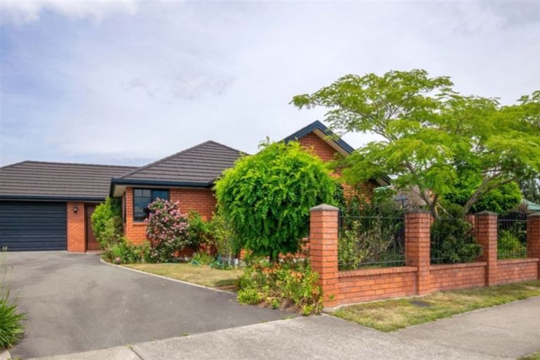 Photo of property in 19 Mckendry Street, Redwoodtown, Blenheim, 7201