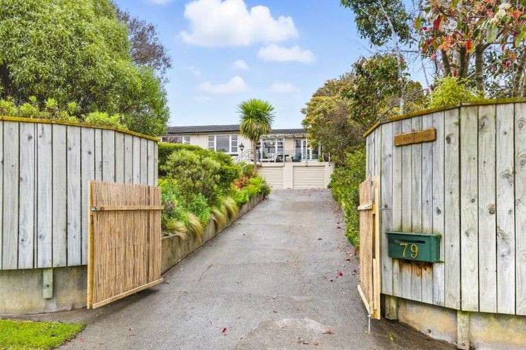 Photo of property in 79 Kawiu Road, Levin, 5510