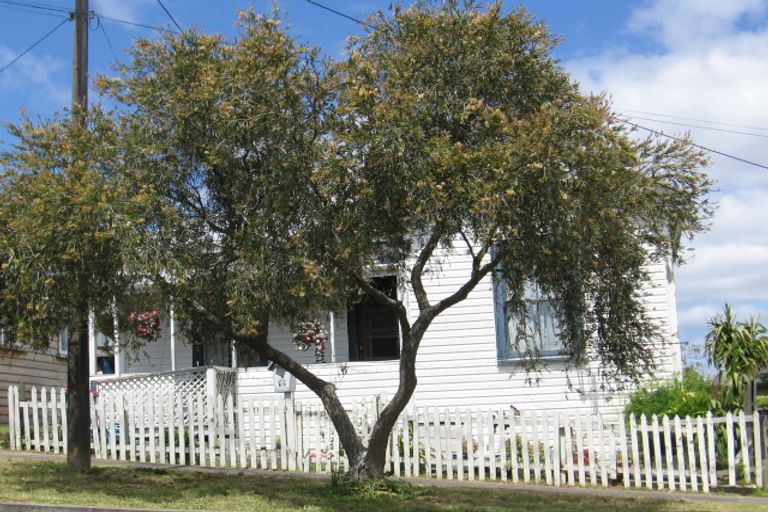 Photo of property in 8 Buchanan Street, Kingsland, Auckland, 1021