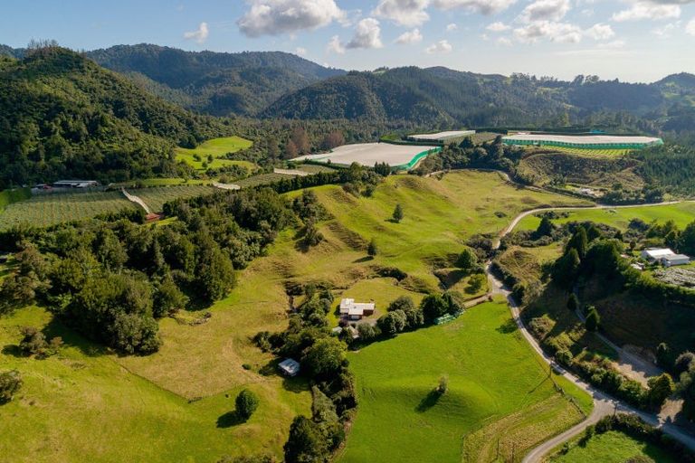 Photo of property in 1382 No 3 Road, Te Puke, 3183