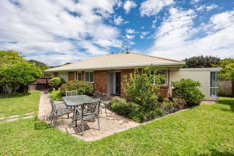 Photo of property in 33 Rochfort Drive, Richmond, 7020