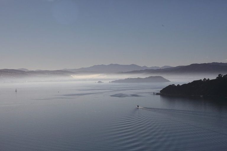 Photo of property in 21 Waipapa Terrace, Hataitai, Wellington, 6021