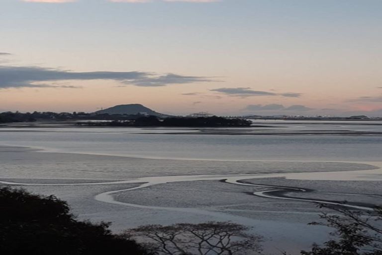 Photo of property in 57 Tutauanui Crescent, Maungatapu, Tauranga, 3112