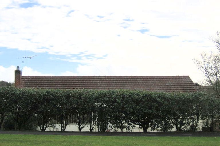 Photo of property in 19 Thomson Avenue, Dinsdale, Hamilton, 3204