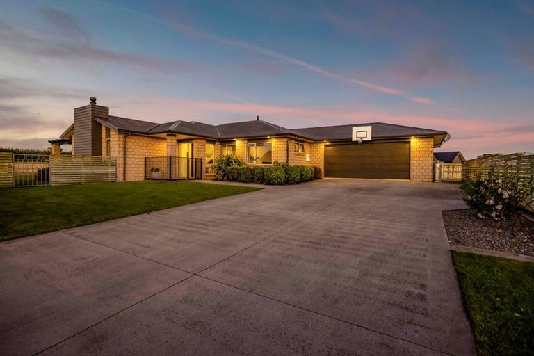 Photo of property in 20 Larlin Drive, Hawera, 4675