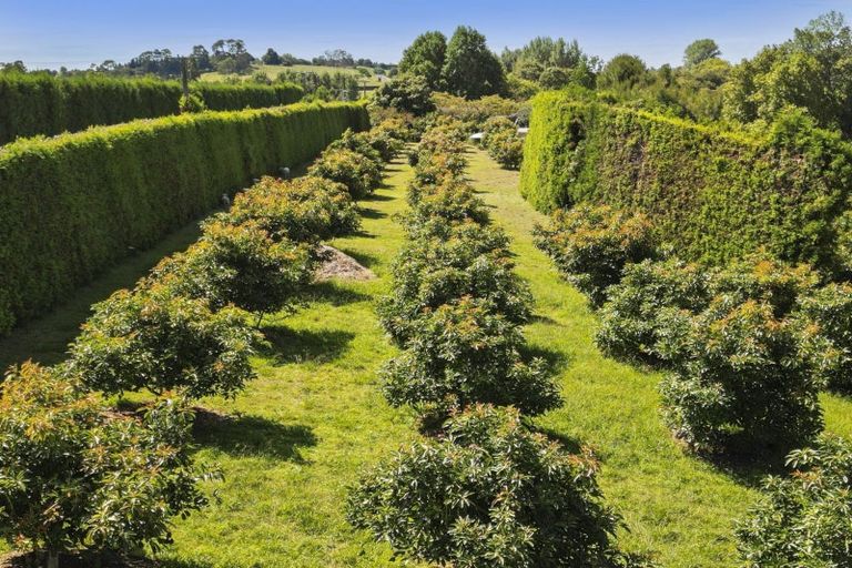 Photo of property in 112 Pahoia Road, Whakamarama, Tauranga, 3172