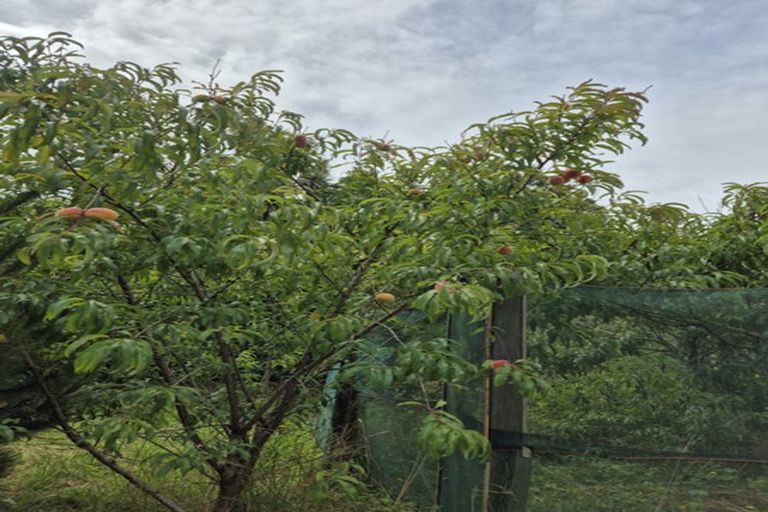 Photo of property in 64 Rodney Avenue, Te Horo Beach, Otaki, 5581