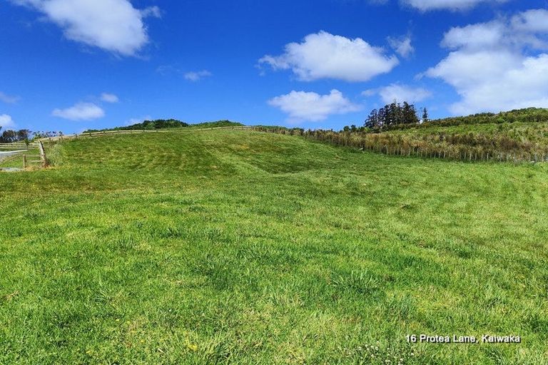 Photo of property in 19 Protea Lane, Kaiwaka, 0573